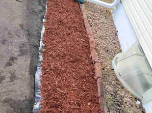 Landscaping by Erica Flanagan for Leyya M. in Fridley, MN