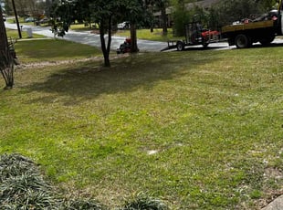 Leaf Removal by Brian McClellan for Casey B. in Columbus, GA