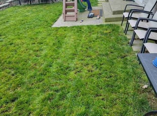 Judy F.'s Lawn Maintenance service result