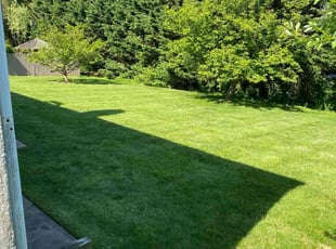 Kathleen K.'s Lawn Mowing service result