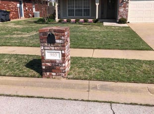 Shirley O.'s Lawn Service service result