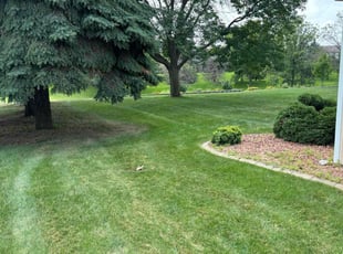 Christi W.'s Lawn Mowing service result