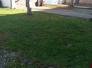 Leaf Removal by Tefel Rivera for Alexis A. in Parma, OH