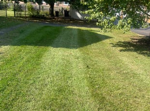 Bernice Q.'s Lawn Care service result