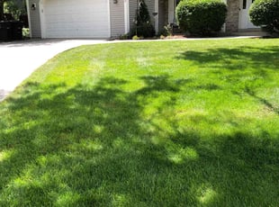 John M.'s Lawn Mowing service result
