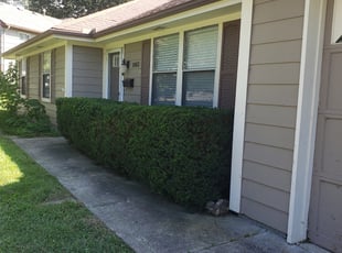 Bush Trimming by Joshua Hargis for Jeran C. in Lee's Summit, MO