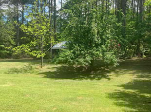 Amy F.'s Lawn Care service result