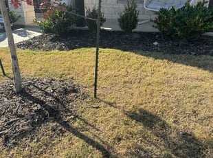 Weeding by Quentin Morgan for Ann M. in Celina, TX