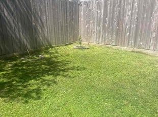 Cheryl S.'s Grass Cutting service result