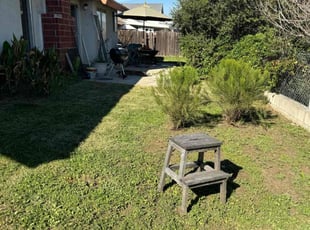Karen H.'s Lawn Mowing service result