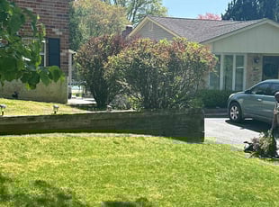 Bush Trimming by Melford Franklin for John G. in Randallstown, MD