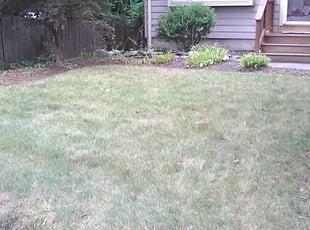 Cleanups by Calvin Mitnaul for Nedra S. in Brockton, MA