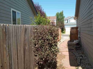 Bush Trimming by Jay Bradley for Trent H. in Colorado Springs, CO