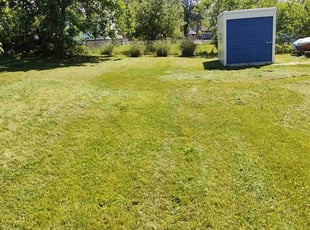 Kim M.'s Lawn Mowing Service service result