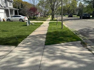 Michelle T.'s Lawn Service service result