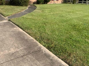 Bush Trimming by Derrick Cotton for Joi S. in Baton Rouge, LA