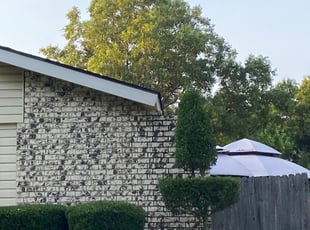 Bush Trimming by Erica Ayers for Dan E. in Plano, TX
