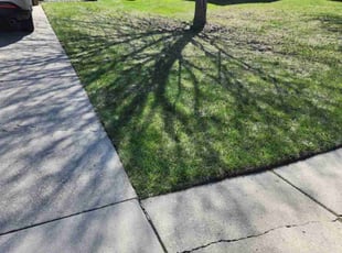 Pam H.'s Lawn Service service result