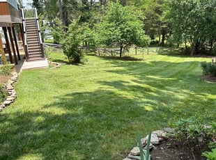 Sean G.'s Lawn Care service result