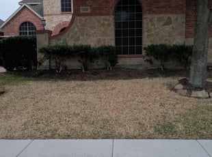 Leaf Removal by Walter Allison for Bryan R. in Grand Prairie, TX