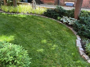 Kathleen C.'s Lawn Care service result