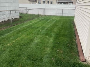 Aurora B.'s Grass Cutting service result