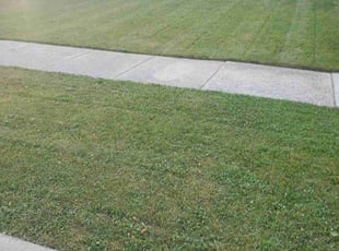 Muhammad R.'s Yard Cutting service result