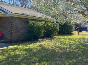 Bush Trimming by Hayes Thompson for Morgan A. in North Charleston, SC