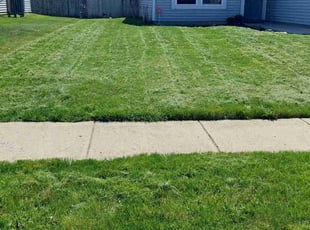 Nakeisha B.'s Yard Cutting service result