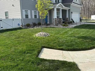 Samantha B.'s Lawn Mowing service result