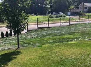 Camille R.'s Lawn Care service result