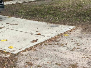 Paula K.'s Leaf Removal service result