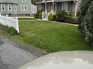 Tim C.'s Lawn Maintenance service result
