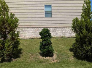 arnold r.'s Grass Cutting service result