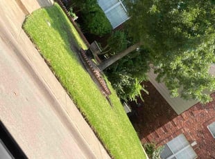 Jenny Z.'s Grass Cutting service result