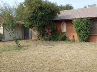 Bush Trimming by Edgardo Canseco for Mikel H. in Glendale, AZ