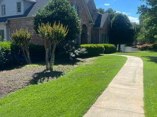 Pamela W.'s Lawn Mowing service result