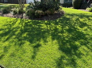 Jonathan P.'s Lawn Service service result