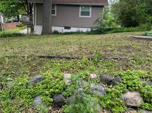 Philip W C.'s Grass Cutting service result