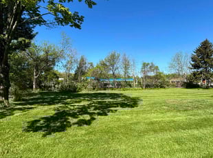 Jaclyn B.'s Lawn Maintenance service result