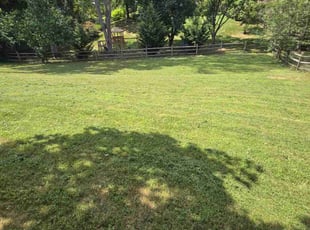ADLAI C.'s Lawn Service service result