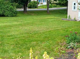 Brittney K.'s Lawn Care service result