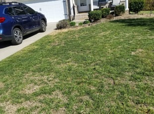Christi B.'s Landscaping service result