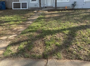 Leaf Removal by Jeff Lipscomb for Jordan V. in Edmond, OK