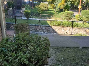 Bush Trimming by Marvin Simmons for Constance W. in Philadelphia, PA