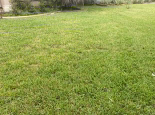 Olin B.'s Lawn Maintenance service result