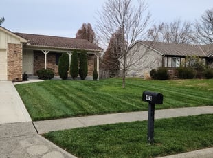 Cleanups by Andrew Carpenter for Shirley C. in Columbus, OH