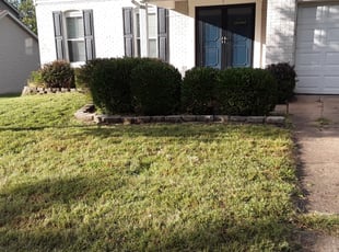 Bush Trimming by John Mcmahon for Rose Y. in Ballwin, MO