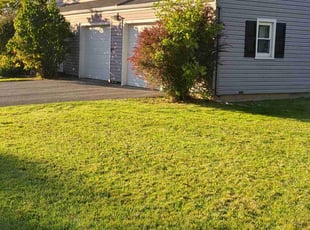 Bill T.'s Lawn Mowing service result