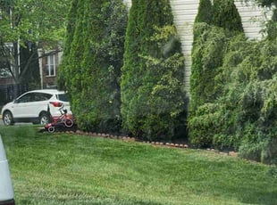 Mulching by Mark Burke for Emily R. in Fairfax, VA